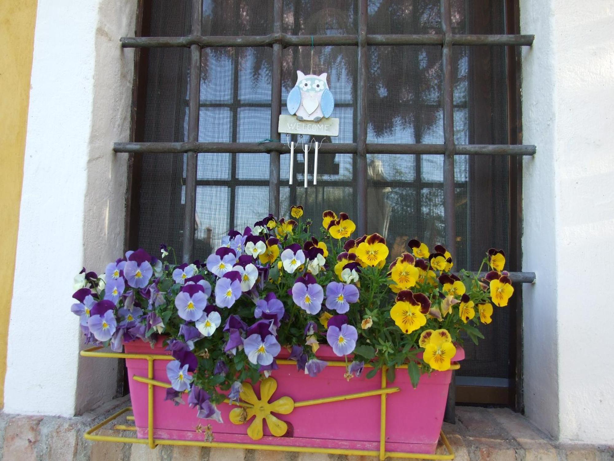 B&B Casacasina Monzambano Luaran gambar
